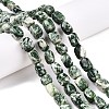 Natural Green Spot Jasper Beads Strands G-T138-96-1