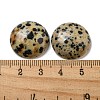 Natural Dalmatian Jasper Cabochons G-C115-02A-21-3