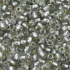 Silver Lined Glass Seed Beads SEED-T007-18A-03-3