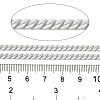 Spray Painted 304 Stainless Steel Curb Chains STAS-B067-05A-09-2