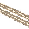 Gold Metallic Double Border Lace Trim OCOR-WH0064-80-1
