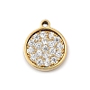 304 Stainless Steel Micro Pave Cubic Zirconia Charms LS-STAS-I356-04G-01-1