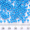 12/0 Baking Paint Glass Round Seed Beads SEED-S036-01A-11-3