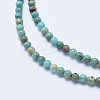 Natural Aqua Terra Jasper Beads Strands LS-G-E444-14A-4mm-3
