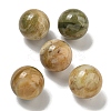 Natural Crazy Agate Round Ball Figurines Statues for Home Office Desktop Decoration G-P532-02A-21-1