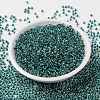 MIYUKI Round Rocailles Beads X-SEED-G008-RR3205-4