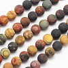 Frosted Round Natural Picture Jasper Beads Strands G-N0166-48-10mm-1