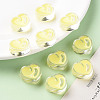 Transparent Enamel Acrylic Beads TACR-S155-004B-6