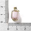 Natural Kunzite Gift Box Charms G-P523-01G-04-3
