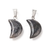 Natural Larvikite Pendants G-Q369-16-2