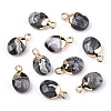 Natural Map Stone/Picasso Stone/Picasso Jasper Charms G-N326-58B-1