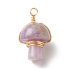 Natural Amethyst Pendants PALLOY-JF01134-05-1