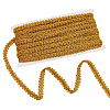 Sparkle Braided Polyester Lace Trim OCOR-WH0079-24A-1