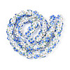 Handmade Lampwork Beads Strands LAMP-N021-015A-16-1