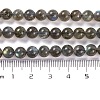 Grade AA Natural Gemstone Labradorite Round Beads Strands G-E251-33-6mm-01-3