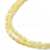 Natural Trochus Shell Beads Strands SHEL-K006-19C-3