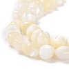 Natural Shell Beads BSHE-B003-19-4
