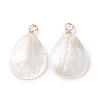 Natural Trochid Shell/Trochus Shell Pendants X-PALLOY-JF01393-1