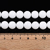Baking Paint Opaque Glass Beads Strands LS-GLAA-T032-P10mm-02-4