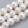 Natural Cultured Freshwater Pearl Beads Strands PEAR-N013-06E-1
