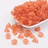 Transparent Acrylic Beads LS-PL622-C12-3