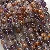 Natural Purple Phantom Quartz Lodolite Quartz Beads Strands G-R446-12mm-01A-4