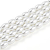Baking Paint Pearlized Glass Pearl Bead Strands X-HY-T002-01A-01-3