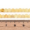 Natural Yellow Amber Beads Strands G-N351-04A-01-4