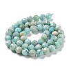 Natural Amazonite Beads Strands G-J400-E11-07AB-3