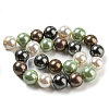 Polished Shell Pearl Bead Strands BSHE-F013-07D-2