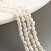 Natural Keshi Pearl Cultured Freshwater Pearl Beads Strands PEAR-P062-21-1