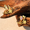 304 Stainless Steel Glass Rhinestone Cuff Rings LS-RJEW-S626-08G-1