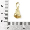 Halloween Theme Brass Micro Pave Cubic Zirconia Pendants LS-KK-L248-05G-01-3