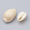 Cowrie Shell Beads X-SSHEL-T004-08-2