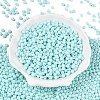Opaque Baking Paint Glass Beads DGLA-T004-03P-1