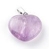 Natural Amethyst Pendants G-S219-17G-2