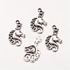 Alloy Pendants X-PALLOY-A19244-AS-FF-1