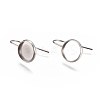 Non-Tarnish 304 Stainless Steel Earring Hooks STAS-F227-22B-P-1