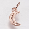 Brass Micro Pave Cubic Zirconia Charms ZIRC-E147-59RG-2