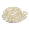 Natural White Moonstone Beads Strands G-P332-01-5