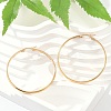 201 Stainless Steel Hoop Earrings EJEW-Q026-17G-D-1
