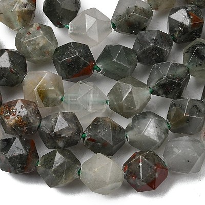 Natural African Bloodstone Beads Strands G-Z119-A28-02-1