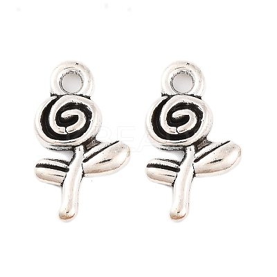 Great Valentines Day Gift Ideas Tibetan Style Alloy Charms LF10736Y-1