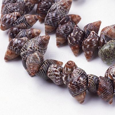 Natural Spiral Shell Beads Strands BSHE-L036-31-1