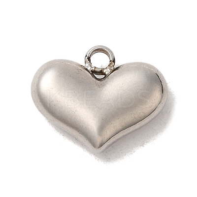 304 Stainless Steel Charms STAS-S131-12P-1