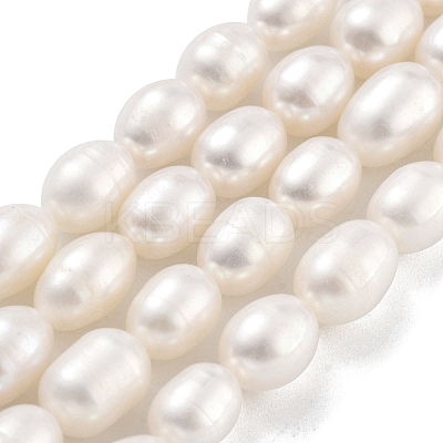 Natural Cultured Freshwater Pearl Beads Strands PEAR-P062-10J-1