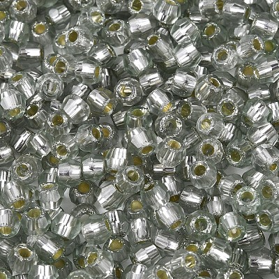 Silver Lined Glass Seed Beads SEED-T007-18A-03-1