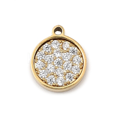 304 Stainless Steel Micro Pave Cubic Zirconia Charms LS-STAS-I356-04G-01-1