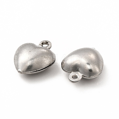 Non-Tarnish 304 Stainless Steel Charms STAS-F289-02P-1
