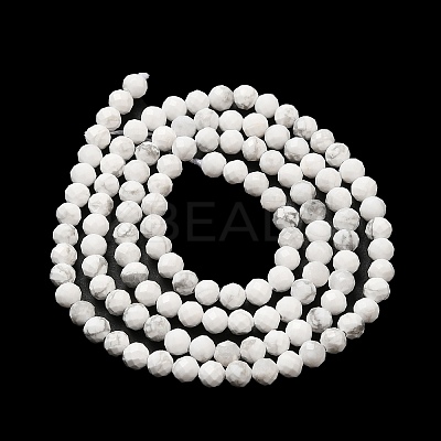 Natural Howlite Beads Strands G-E608-A01-B-1